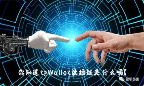 你知道tpWallet波场链是什么吗？