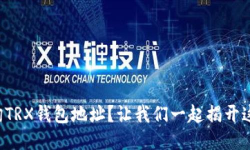 怎么快速查询TRX钱包地址？让我们一起揭开这个神秘面纱！