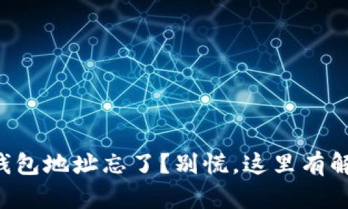 比特币钱包地址忘了？别慌，这里有解决办法！