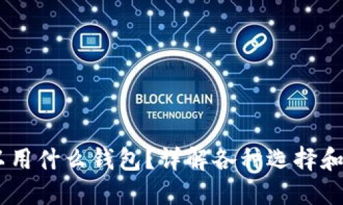 USDT可以用什么钱包？详解各种选择和使用技巧