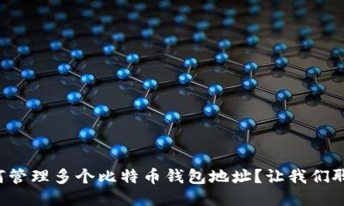 如何管理多个比特币钱包地址？让我们聊聊！