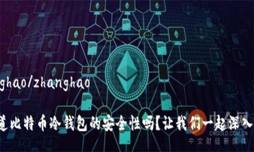zhanghao/zhanghao

想知道比特币冷钱包的安全性吗？让我们一起深入探讨！