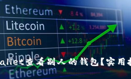 如何用tpWallet查看别人的钱包？实用技巧大揭秘！