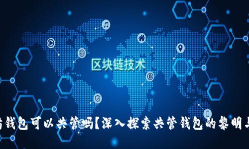以太坊钱包可以共管吗？深入探索共管钱包的黎明与未来！