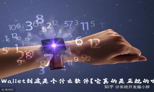 tpWallet到底是个什么软件？它真的是正规的吗？