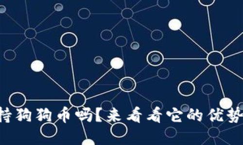 雷达钱包支持狗狗币吗？来看看它的优势与使用心得！