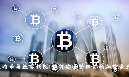 比特币与数字钱包：如何安全管理你的加密资产？