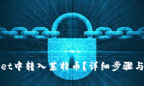 如何在tpWallet中转入莱特币？详细步骤与常见问题解答