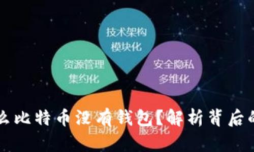为什么比特币没有钱包？解析背后的真相