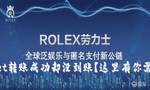 为什么TPWallet转账成功却没到账？这里有你需要知道的一切！