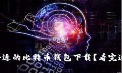 如何选择最合适的比特币钱包下载？看完这篇你