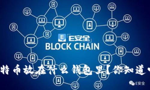 比特币放在什么钱包里？你知道吗？