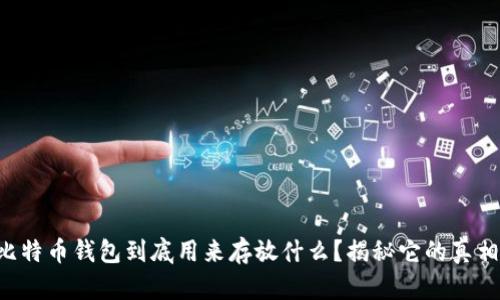 比特币钱包到底用来存放什么？揭秘它的真相！