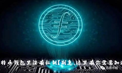  一级 比特币钱包里没有私钥？别急，这里有你需要知道的一切！