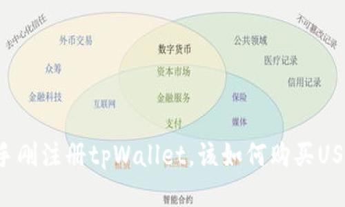 新手刚注册tpWallet，该如何购买USDT？