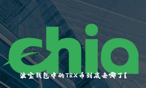 波宝钱包中的TRX币到底去哪了？
