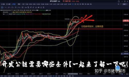 开发公链需要哪些条件？一起来了解一下吧！