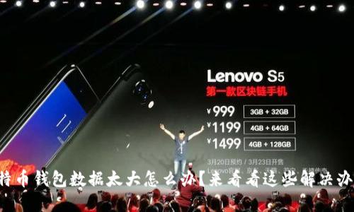 比特币钱包数据太大怎么办？来看看这些解决办法！