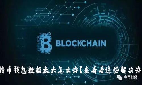 比特币钱包数据太大怎么办？来看看这些解决办法！