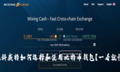 在科威特如何选择和使用比特币钱包？一看就懂