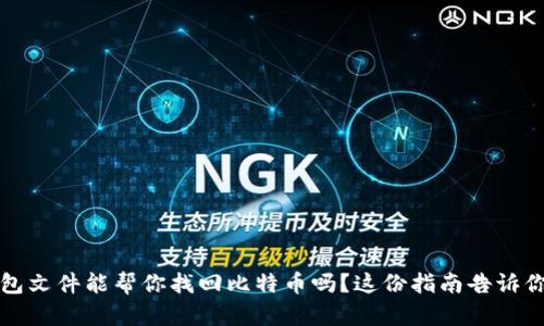 qt钱包文件能帮你找回比特币吗？这份指南告诉你一切