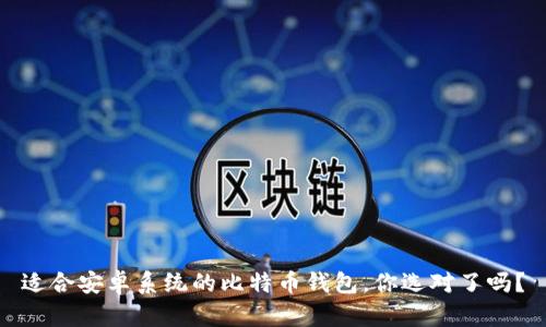 适合安卓系统的比特币钱包，你选对了吗？