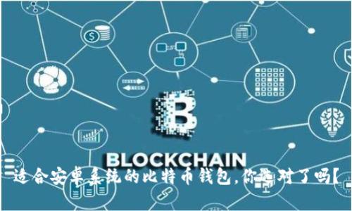 适合安卓系统的比特币钱包，你选对了吗？