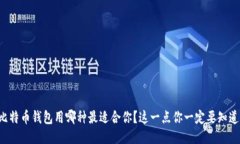 比特币钱包用哪种最适合