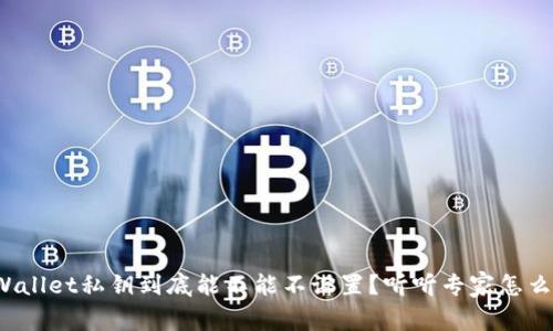 tpWallet私钥到底能不能不设置？听听专家怎么说！