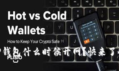 “比特币DcEP钱包什么时候开网？快来了解最新动态！”