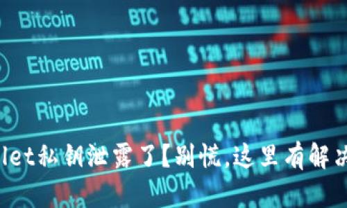 tpWallet私钥泄露了？别慌，这里有解决方案！