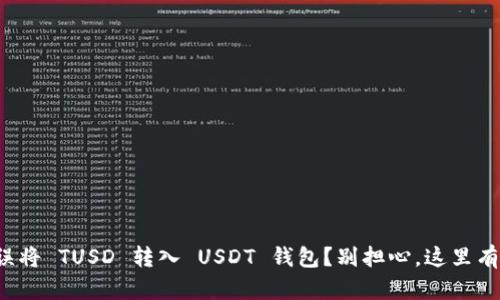 如何解决误将 TUSD 转入 USDT 钱包？别担心，这里有解决方案！