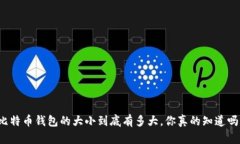 比特币钱包的大小到底有