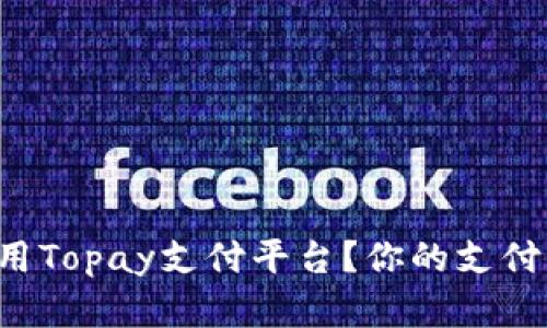 如何使用Topay支付平台？你的支付新选择！