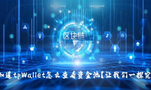 想知道tpWallet怎么查看资金池？让我们一探究竟！