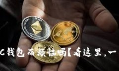 你还在为选择LTC钱包而烦