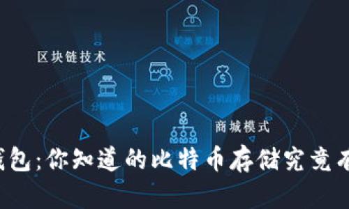 普拉斯钱包：你知道的比特币存储究竟有多安全？