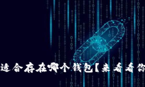 20链USDT最适合存在哪个钱包？来看看你的最佳选择！