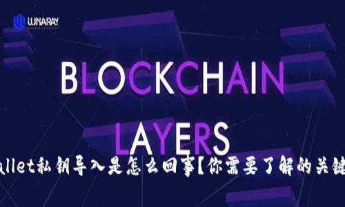 tpWallet私钥导入是怎么回事？你需要了解的关键内幕