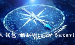 以太坊创始人钱包：揭秘Vitalik Buterin的数字财富