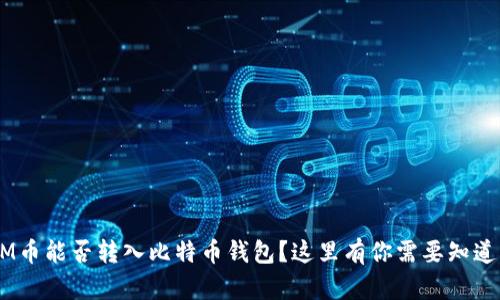 XLM币能否转入比特币钱包？这里有你需要知道的！