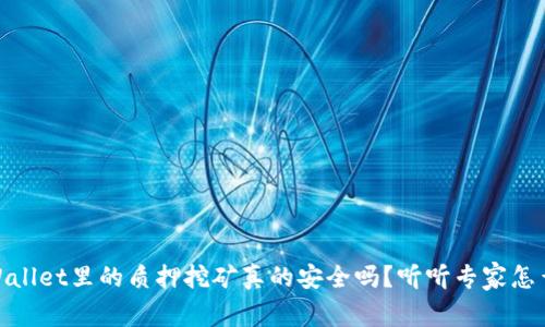 tpWallet里的质押挖矿真的安全吗？听听专家怎么说