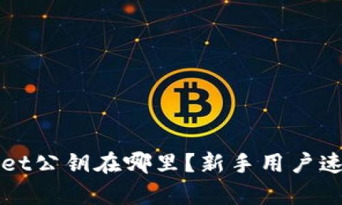 tpWallet公钥在哪里？新手用户速查指南