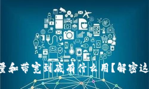 tpWallet的能量和带宽到底有什么用？解密这两个重要概念！