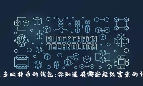 总有最多比特币的钱包：你知道有哪些超级富豪的钱包吗？