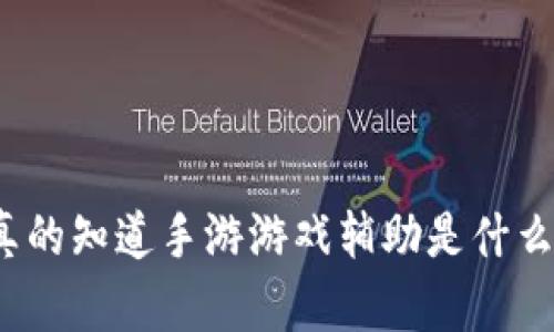 你真的知道手游游戏辅助是什么吗？