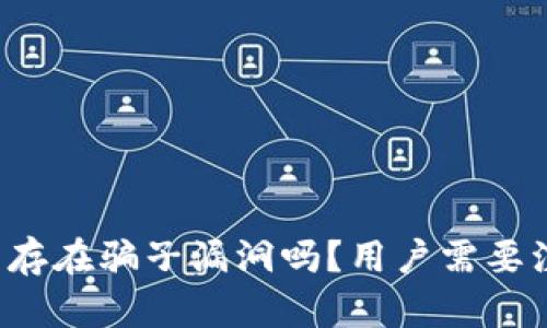 tpWallet真的存在骗子漏洞吗？用户需要注意哪些风险？