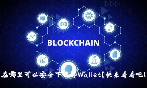在哪里可以安全下载tpWallet？快来看看吧！