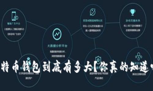 比特币钱包到底有多大？你真的知道吗？