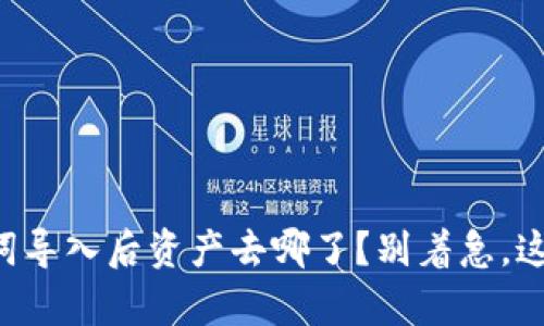 tpWallet助记词导入后资产去哪了？别着急，这里有解决办法！